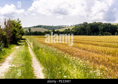 Entlang der historischen Route der Via Francigena, Toskana, Italien. 2018. Stockfoto