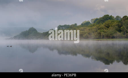 Einen weiteren herrlichen Tag bekons nach dem frühen Morgennebel in den Yorkshire Dale Nationalpark um Semerwater, Wensleydale. Stockfoto