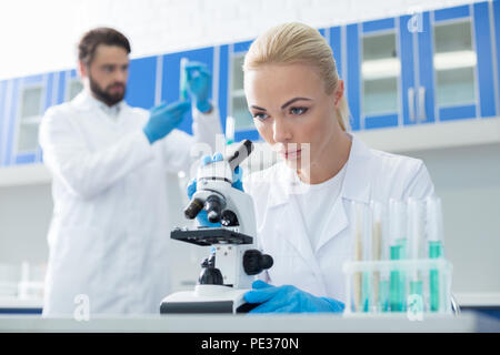 Medizinisches Labor. Ernsthafte intelligente weibliche Biologe am Tisch saßen und in das Mikroskop während im medizinischen Labor arbeiten Stockfoto