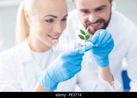 Die biologische Wissenschaft. Sehr positiv Schönes bio Wissenschaftler an die grüne suchen Sprout und lächelnd, während sie ihrem Projekt glückliches Sein Stockfoto