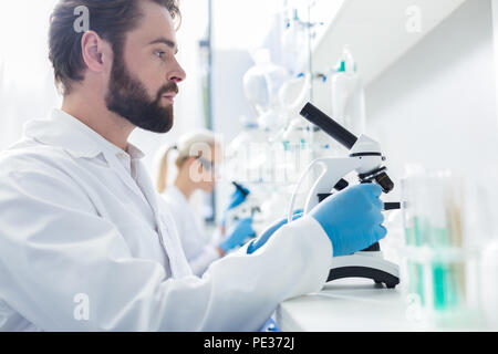 Professionelle Forschung. Schwere smart hart arbeitende Biologin am Tisch sitzen und die Einrichtung seinem Mikroskop während eines biologischen Forschung Stockfoto