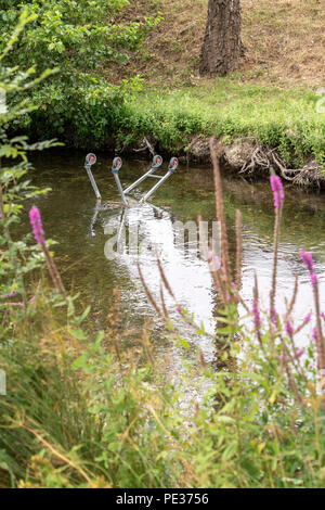 Einkaufswagen im Fluss Stockfoto