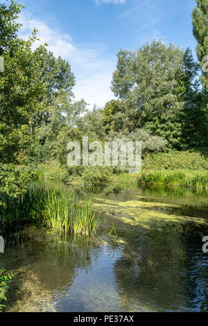 Fluss Nadder Szene in Salisbury GROSSBRITANNIEN Stockfoto