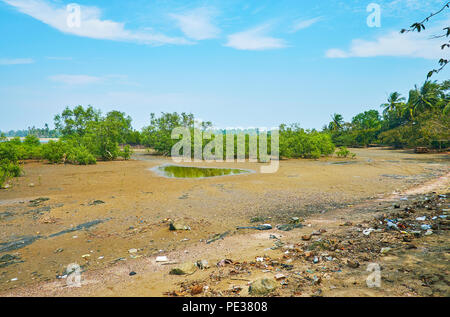 Ebbe deckt den Boden der Mangrovenwald, zwischen zwei nebenflüssen von Pathein Fluss in Ngwesaung touristische Zone, Myanmar. Stockfoto