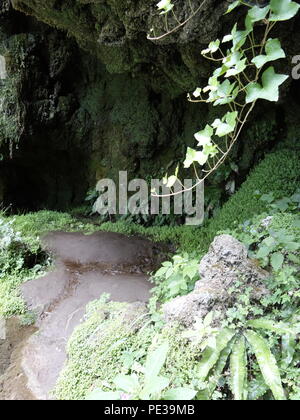 Foto von der Mutter Shipton Höhle in Knaresborough Stockfoto