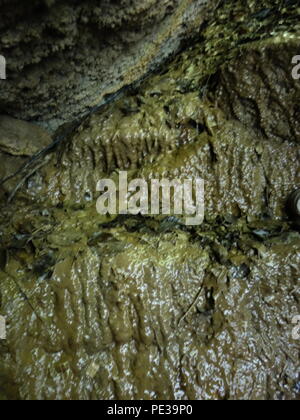 Foto von der Mutter Shipton Höhle in Knaresborough Stockfoto