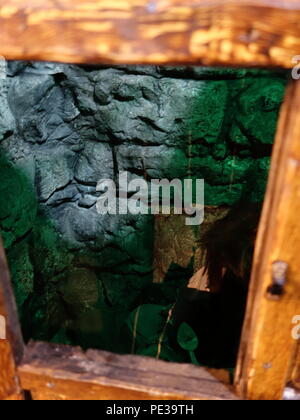 Foto von der Mutter Shipton Höhle in Knaresborough Stockfoto