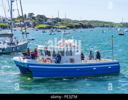 Urlauber auf einem lokalen Fähre in den Hafen von Baltimore, West Cork, Irland Stockfoto