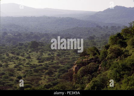 Die hadza Leute klicken Sie sprechenden Menschen, Jäger und Sammler, Leben in der Region Lake Eyasi, Tansania. Es gibt vielleicht nur 200 von ihnen noch l Stockfoto