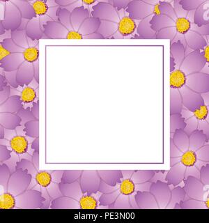 Rosa Cosmos Flower Banner Karte. Vector Illustration. Stock Vektor
