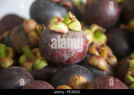 In der Nähe von frisch gepflückte Mangostanfrucht, Thailand Stockfoto