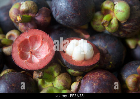 In der Nähe von frisch gepflückte Mangosteen Frucht aufgeschnitten, Thailand Stockfoto