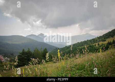 Strom auf dem Sharr moutanin, Piribeg Gipfel zum Kosovo Stockfoto