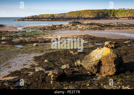 Großbritannien, Wales, Anglesey, Cemaes Bay, Felsen bei Ebbe Stockfoto