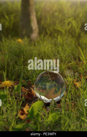 3D-Rendering von Crystal Ball auf Gras in der Abendsonne Stockfoto