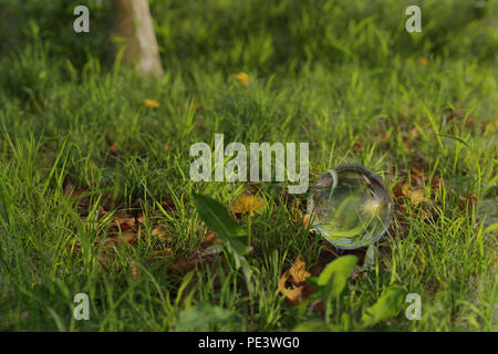 3D-Rendering von Crystal Ball auf Gras in der Sonne Stockfoto