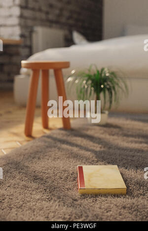 3D-Rendering des alten Buch auf Teppich im Schlafzimmer im Sonnenlicht. Stockfoto