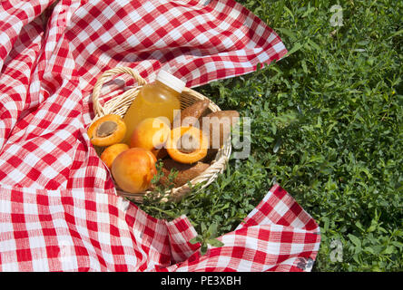 Leckere Früchte und eine Flasche Saft in Weidenkorb auf grünem Gras im Picnic Stockfoto