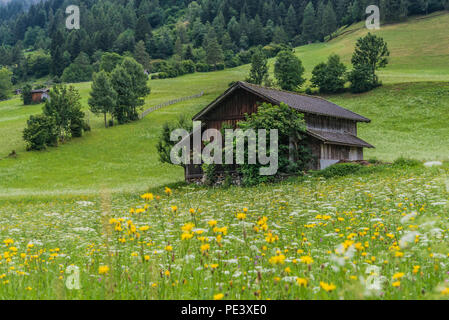 Sommer Wiese mit mit Heu Scheune in der Nähe von Neustift Stadt - Dorf im Stubaital in Tirol Stockfoto