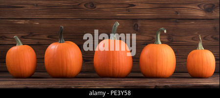 Fünf orange Kürbisse in einer Reihe auf dunklem Hintergrund, Halloween Konzept Stockfoto