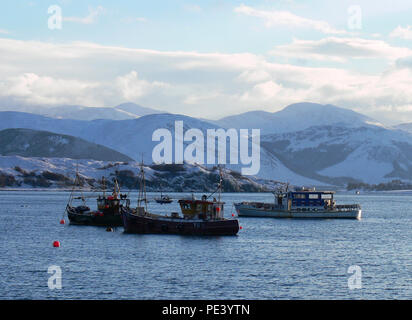 Handwerkliche crab Fischereifahrzeuge im Winter im Hafen von Ullapool, Western Highlands, Schottland verankert Stockfoto