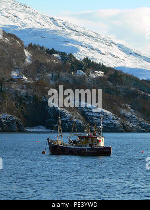 Handwerkliche crab Fischereifahrzeuge im Winter im Hafen von Ullapool, Western Highlands, Schottland verankert Stockfoto