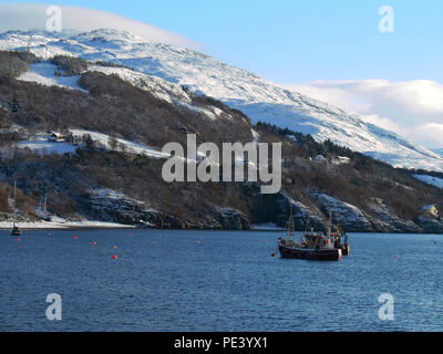 Handwerkliche crab Fischereifahrzeuge im Winter im Hafen von Ullapool, Western Highlands, Schottland verankert Stockfoto