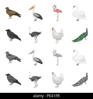Crow, Strauß, Huhn, Pfau. Vögel stellen Sammlung Icons im Cartoon, Schwarzweiß-Stil vektor Symbol lieferbar Abbildung. Stock Vektor