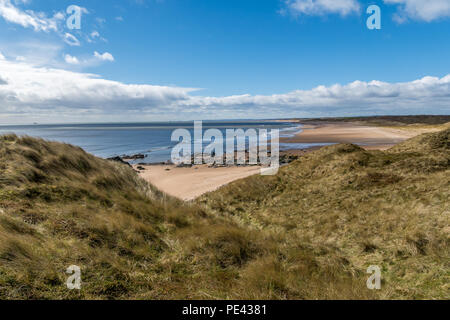 Forvie Sands gesehen von forvie Nature Reserve. Stockfoto
