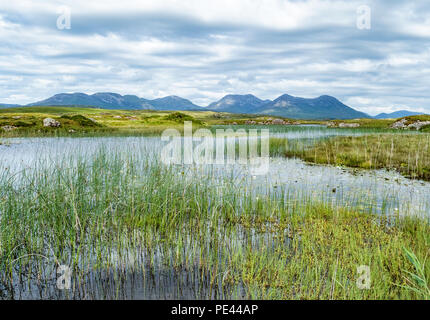 Die zwölf Bolzen oder Bens von Lough Cloonagat auf der Clifden Straße in Connemara County Galway Irland bog Stockfoto