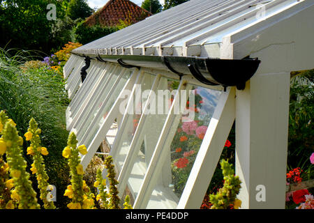 Alte hölzerne Gewächshaus mit Sommer Blumen im wachsenden Stockfoto