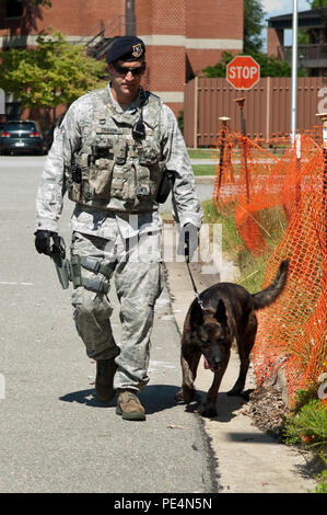 Senior Airman Austin Craven, 4 Security Forces Squadron Militär Hundeführer, führt ein Gebäude Extrusion mit MWD Ronni, Sept. 8, 2015, bei Seymour Johnson Air Force Base, N.C. Zusammen mit Patrouillen, Craven und Ronni sind mit der Durchführung random Gebäude fegt über die Basisstation während ihrer Schicht beauftragt. (U.S. Air Force Foto/Airman 1st Class Shawna L. Keyes) Stockfoto