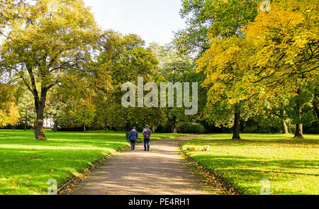 Parklandschaft mit Bäumen lädt zum Wandern ein. Stockfoto