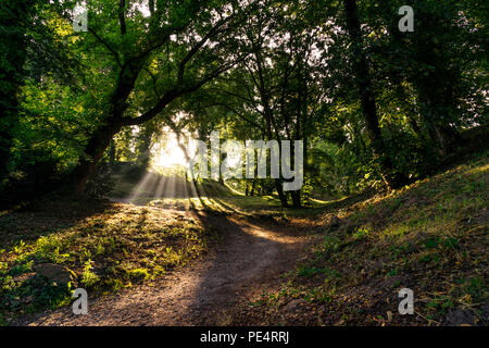 Parklandschaft mit Bäumen lädt zum Wandern ein. Stockfoto