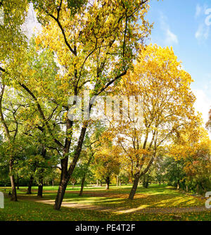 Parklandschaft mit Bäumen lädt zum Wandern ein. Stockfoto