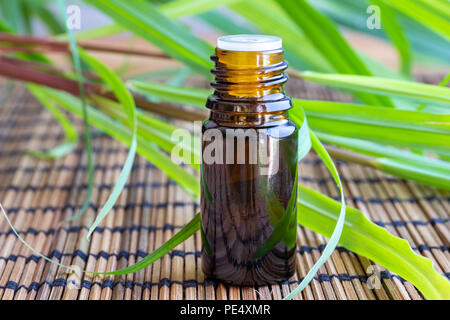Eine Flasche Öl mit frischen Zitronengras Stockfoto