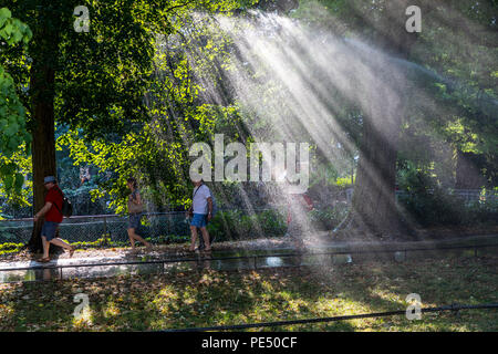 Baden-Baden, Lichtentaler Allee Park, Bewässerung am Morgen, Bewässerung der Grünflächen, während ganz Deutschland stöhnt unter der Sommer h Stockfoto