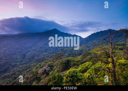 Schönen Abend in den Nebelwald und Berge von Omar Torrijos Nationalpark, Cordillera Central, Provinz Cocle, Republik Panama. Stockfoto