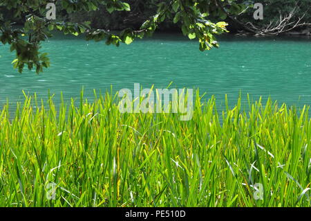 Farbenspiel am schmalen Lusin in der Felberger Seenlandschaft in Mecklenburg-Vorpommern, Deutschland Stockfoto