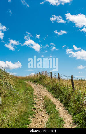 Fußweg in Ditchling Beacon, Sussex, UK. Mit einer fantastischen Aussicht auf die Sussex. Stockfoto