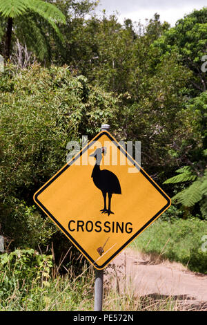 Ein Schild warnt vor cassowary Vögel überqueren der Straßen in der tropischen Region der Atherton Tablelands, Queensland, Australien. Stockfoto