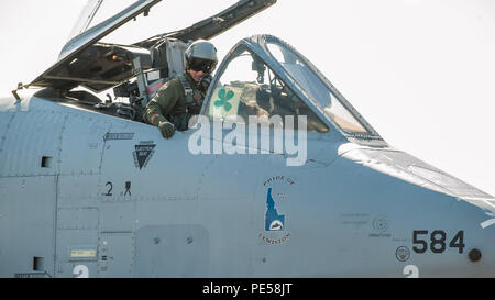 Oberst Tim Donnellan, 124 Fighter Wing Commander, bereitet von Lewiston-Nez Perce Regional Airport, nachdem ein Flugzeug Einweihung abzuweichen. Die Flieger von 124. Der Idaho Air National Guard Fighter Wing hielt eine Zeremonie einen C A-10 Thunderbolt II Flugzeuge an die Stadt Lewiston an Sept. 23, 2015. Vertreter der Stadt, die aus der Gemeinschaft an der Zeremonie zusammen mit der interessierten Öffentlichkeit. (Air National Guard Foto von Tech. Sgt. John Winn) Stockfoto