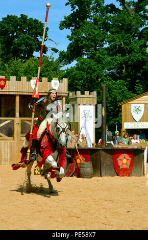 Krieg der Rosen reenactment an der Warwick Castle Stockfoto