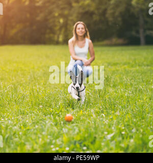 Frau und ihr Hund Jack Russell Terrier Spielen in der Natur. Bild ist absichtlich abgeschwächt. Stockfoto