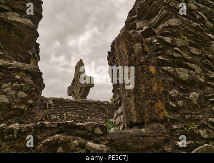 Die irische Klosterruine Mainistir Bhuithe in der Grafschaft Louth Stockfoto