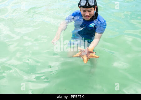 Ein Junge mit zwei versenkten Sea Stars im flachen Wasser der Karibik in der Nähe von Grand Cayman Island Stockfoto