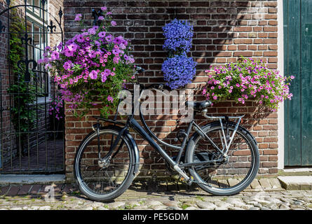 Fahrrad geparkt gegen alte Mauer geschmückt mit hängende Körbe voller Blumen in Elburg (NL). Touristische Destination. Stockfoto