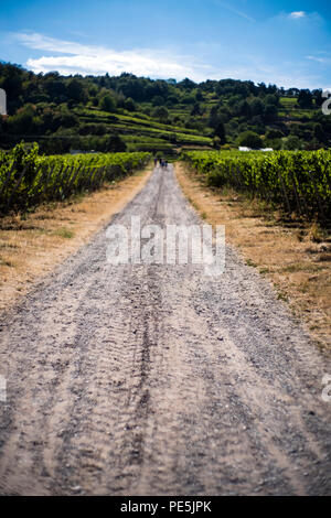 Country Road selektiven Fokus Stockfoto