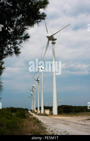 Energie ist eines der wichtigsten Themen in unserer Zeit und saubere Energie ist kostbar. Stockfoto