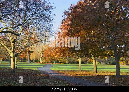 Herbstfarben im späten Nachmittag Licht Regents Park London England Stockfoto